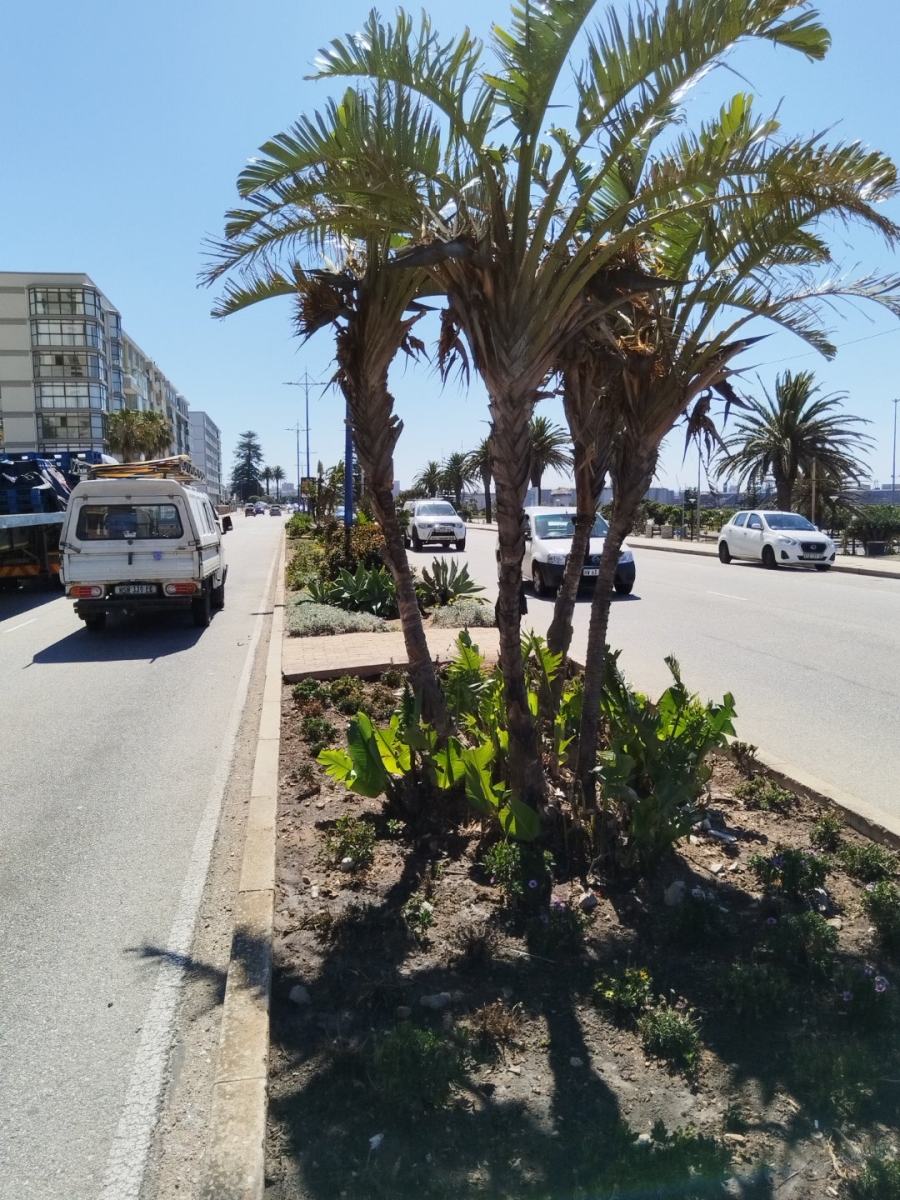  Bedroom Property for Sale in Humewood Eastern Cape